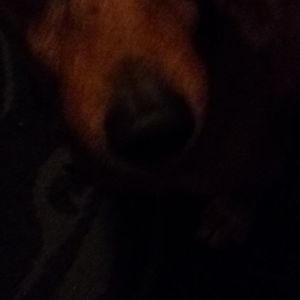 Meet your Posher, Jean